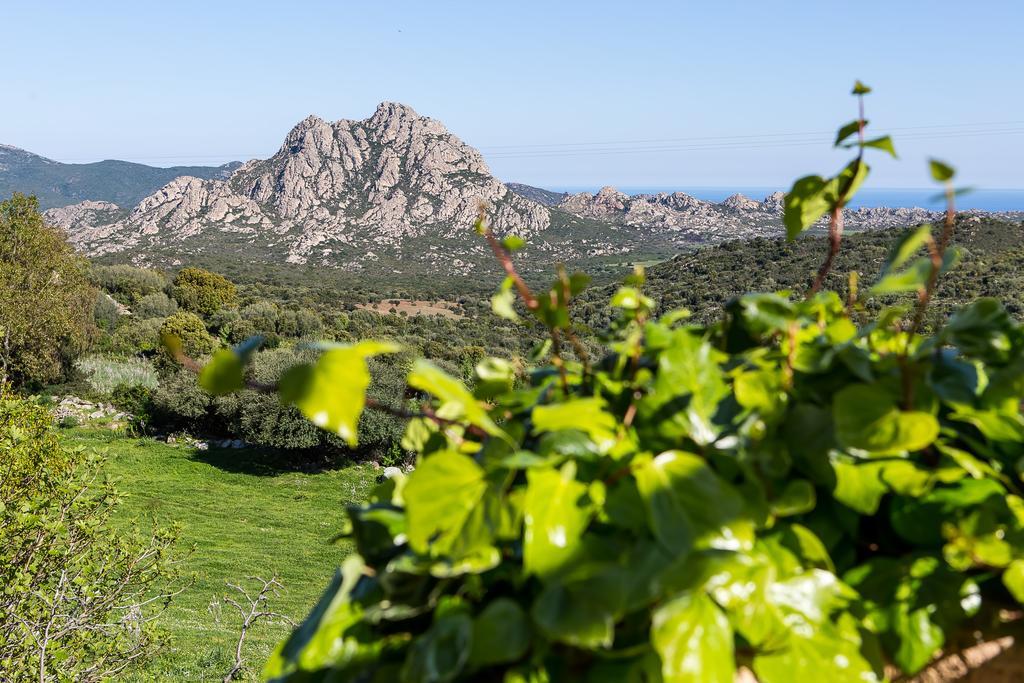 Relais De Saleccia Hotel 3*