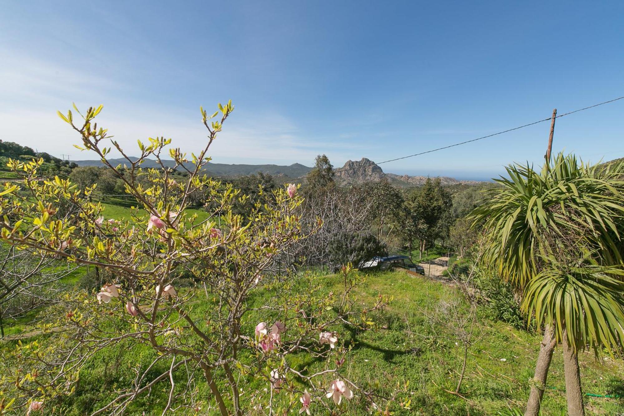 Relais De Saleccia 3* Casta